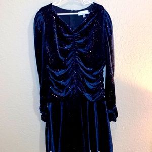 Beautiful Velvet looking shimmery dress